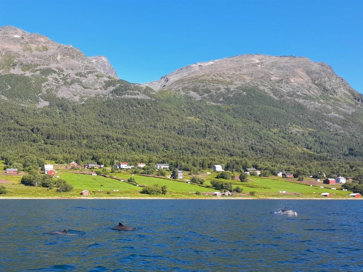 Olderdalen Ski Camp ภายนอก รูปภาพ